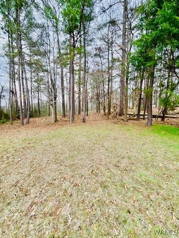 14391 Wells Creek, Ralph, AL 35480