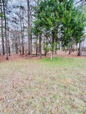 14391 Wells Creek, Ralph, AL 35480