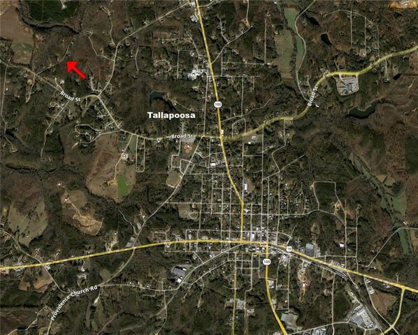 99 Oakland Court, Tallapoosa, GA 30176