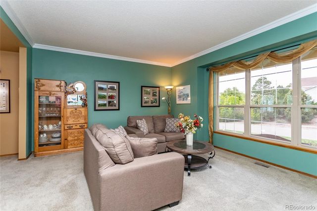 15235 Jessie Drive, Colorado Springs, CO 80921