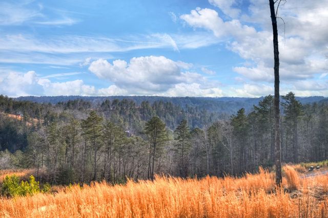 28 Mountaintown Overlook, Ellijay, GA 30540