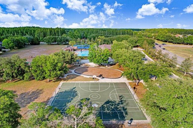 3915 DUKE FIRTH STREET, Land O Lakes, FL 34638