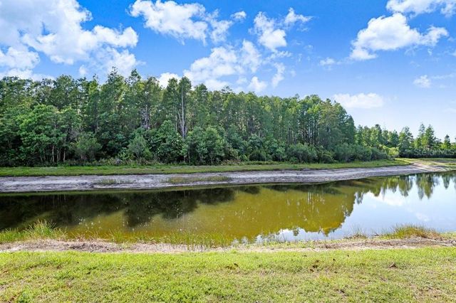 3915 DUKE FIRTH STREET, Land O Lakes, FL 34638