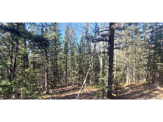 6581 Ackerman Rd, Fort Garland, CO 81133