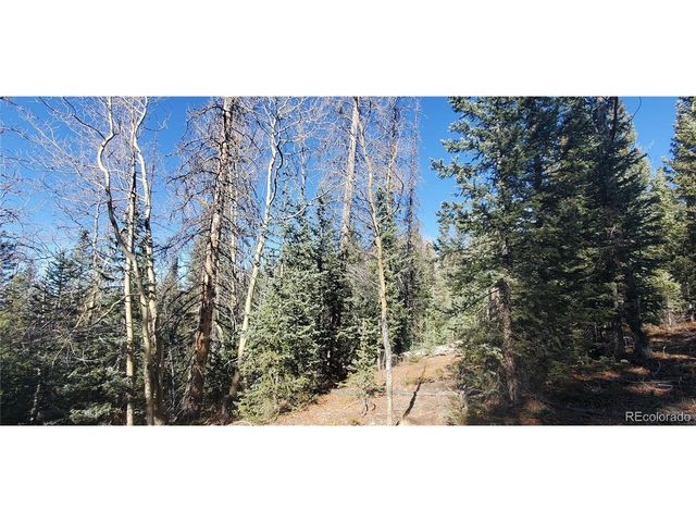 6581 Ackerman Rd, Fort Garland, CO 81133