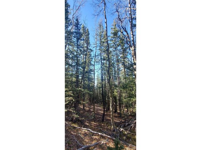 6581 Ackerman Rd, Fort Garland, CO 81133