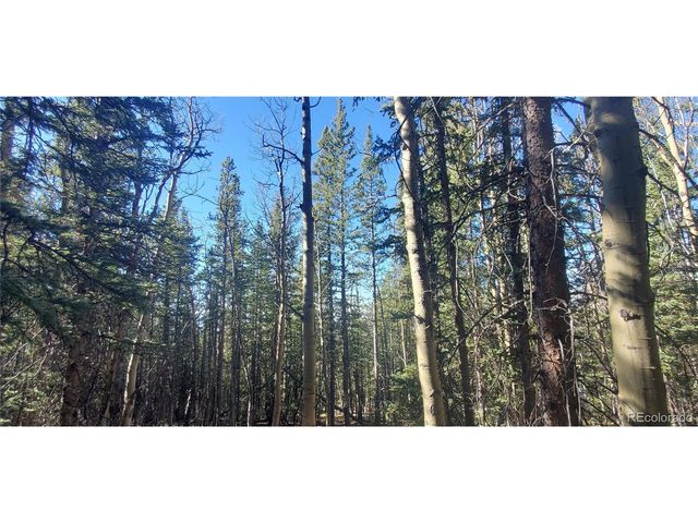 6581 Ackerman Rd, Fort Garland, CO 81133