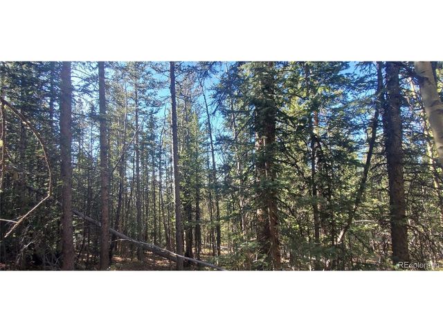 6581 Ackerman Rd, Fort Garland, CO 81133