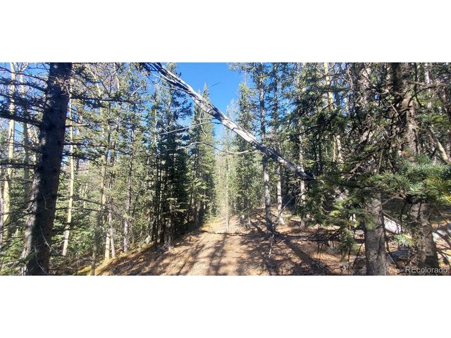 6581 Ackerman Rd, Fort Garland, CO 81133