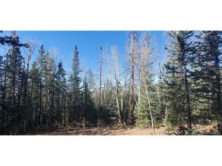 6581 Ackerman Rd, Fort Garland, CO 81133