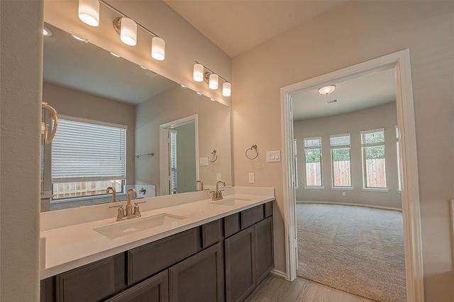 32005 Towering Birch Trail, Conroe, TX 77385