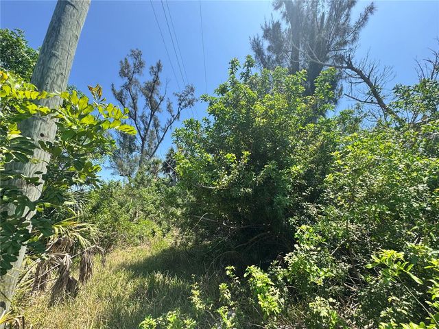 8992 SEAGRAPE LANE, Placida, FL 33946