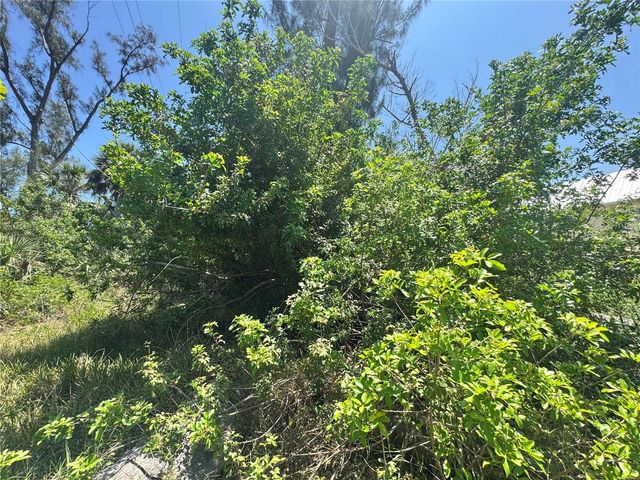 8992 SEAGRAPE LANE, Placida, FL 33946
