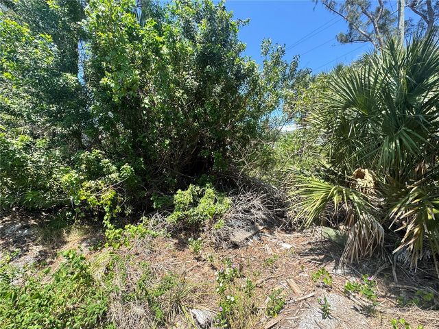 8992 SEAGRAPE LANE, Placida, FL 33946