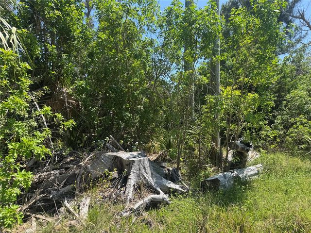8992 SEAGRAPE LANE, Placida, FL 33946