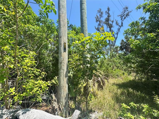 8992 SEAGRAPE LANE, Placida, FL 33946