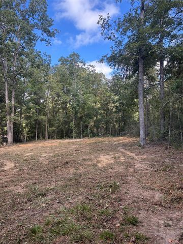 Lots 182-185 Conestoga Trail, Livingston, TX 77351