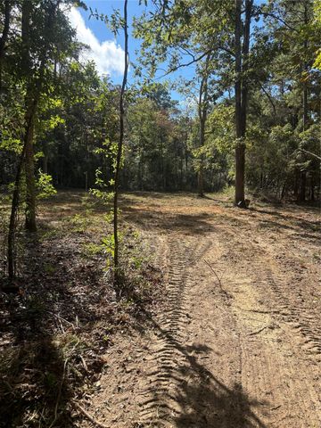 Lots 182-185 Conestoga Trail, Livingston, TX 77351