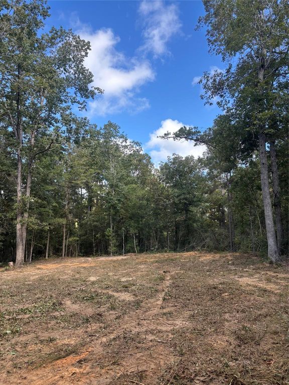 Lots 182-185 Conestoga Trail, Livingston, TX 77351