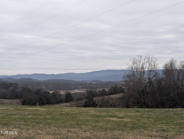 170 John Matthews Road, Limestone, TN 37681