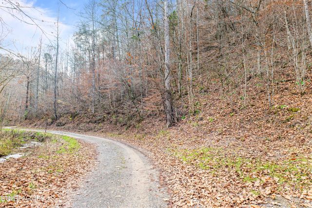 Ramsey Hollow Rd, Harrogate, TN 37752