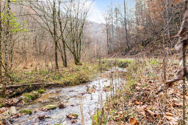 Ramsey Hollow Rd, Harrogate, TN 37752