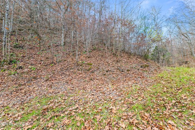 Ramsey Hollow Rd, Harrogate, TN 37752