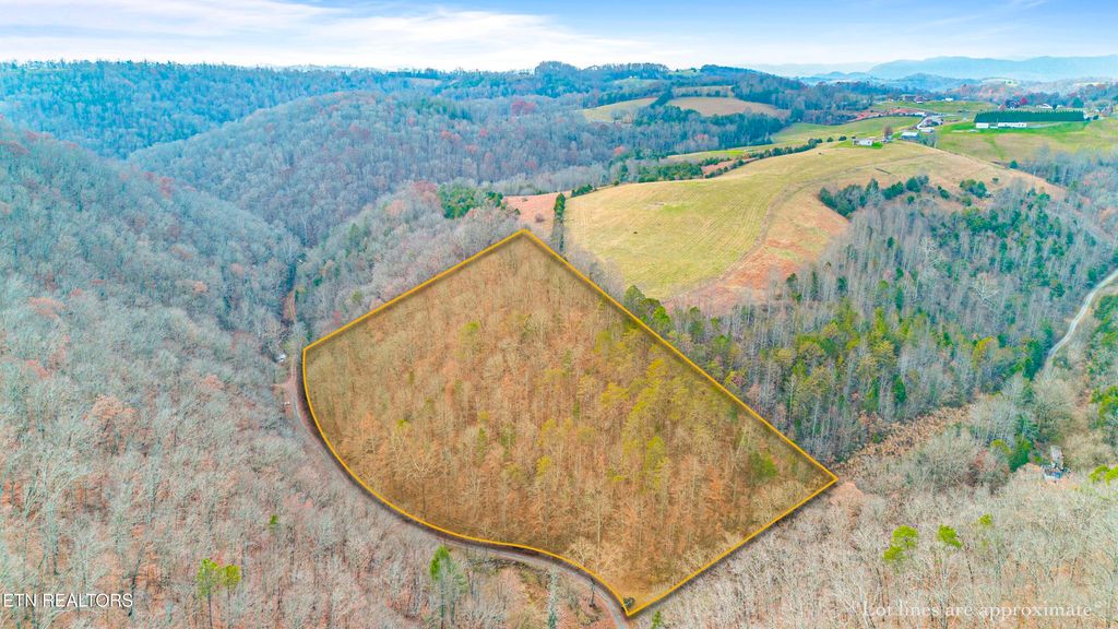 Ramsey Hollow Rd, Harrogate, TN 37752