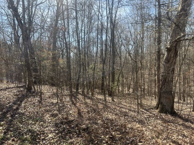 0 Sales Landing Rd, Camden, TN 38320