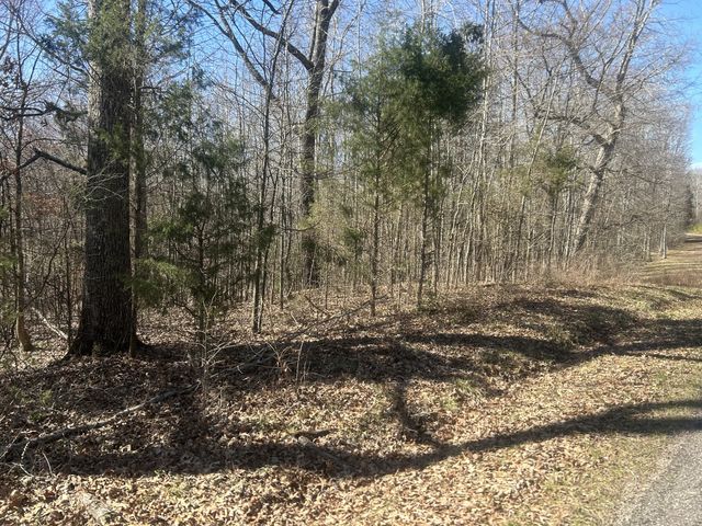 0 Sales Landing Rd, Camden, TN 38320