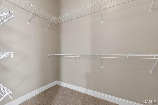 339 Lake Side View Lane V, Cottleville, MO 63376