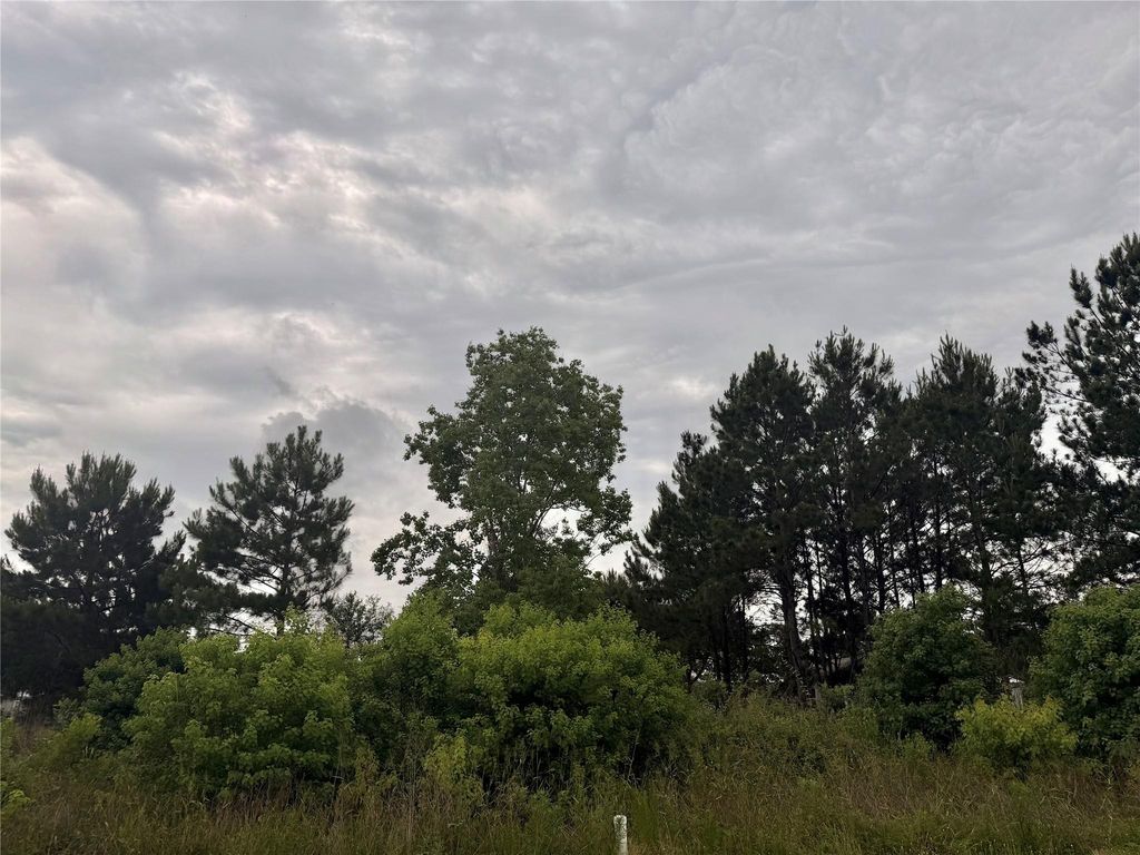 318 County Road 3401, Cleveland, TX 77327