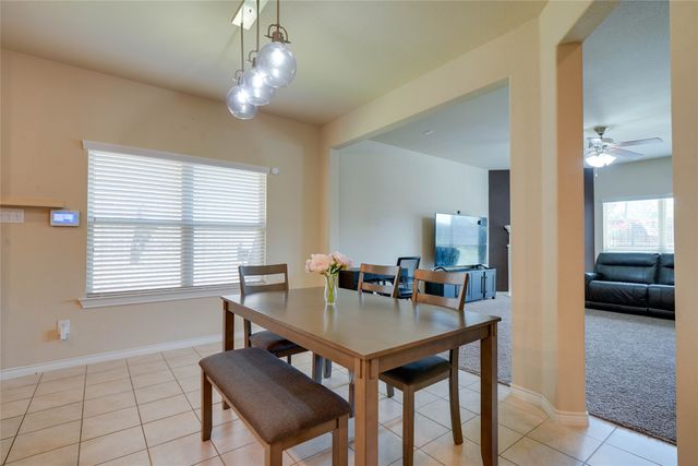 10405 Big Sandy Court, Mckinney, TX 75071