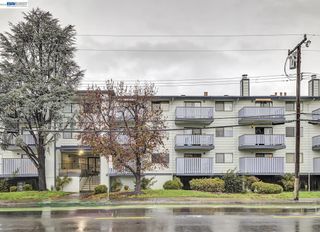 29300 Dixon St 207, Hayward, CA 94544