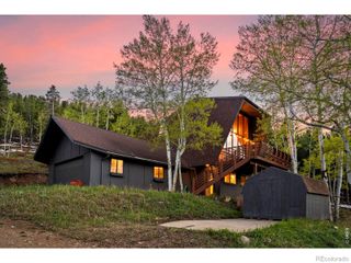 56 Valley View Drive, Nederland, CO 80466