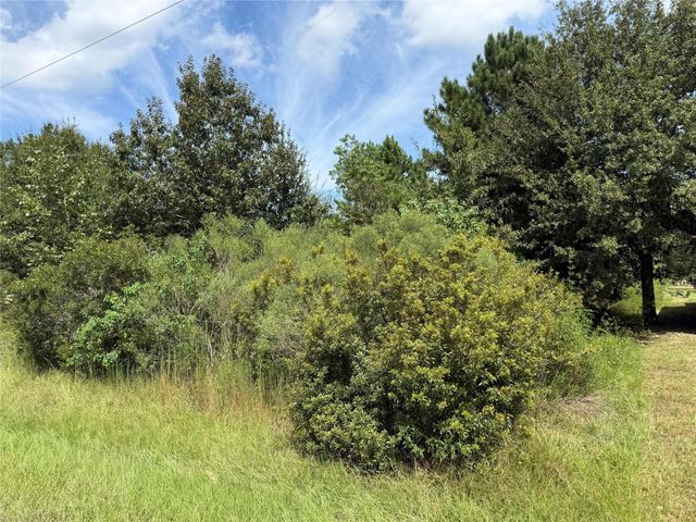 69 County Road 3404, Cleveland, TX 77327