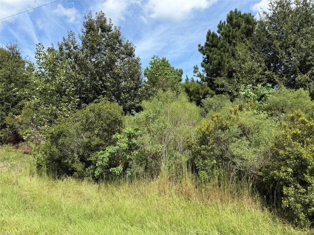 69 County Road 3404, Cleveland, TX 77327
