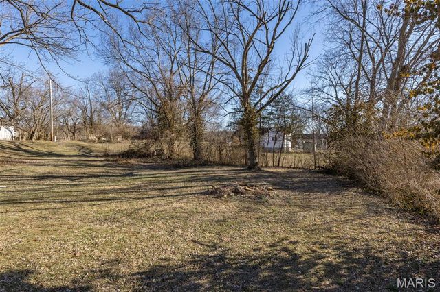 217 W Elvins Boulevard, Park Hills, MO 63601