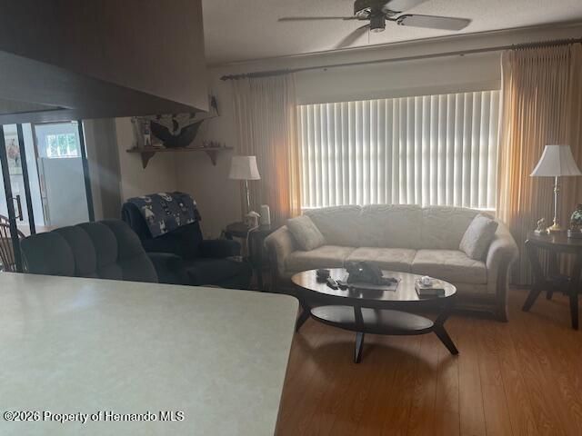 9030 Hernando Way, Spring Hill, FL 34613