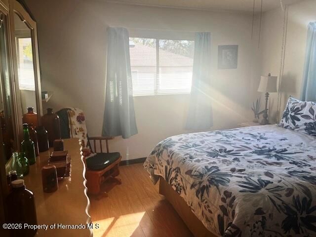 9030 Hernando Way, Spring Hill, FL 34613