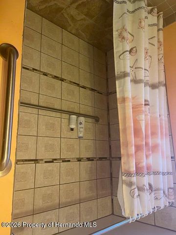 9030 Hernando Way, Spring Hill, FL 34613