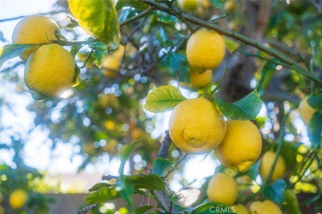 15281 Dogwood, Westminster, CA 92683