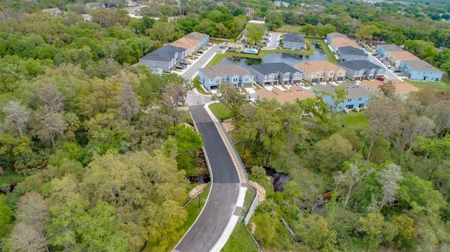 6824 CITRUS CREEK LANE, Tampa, FL 33625