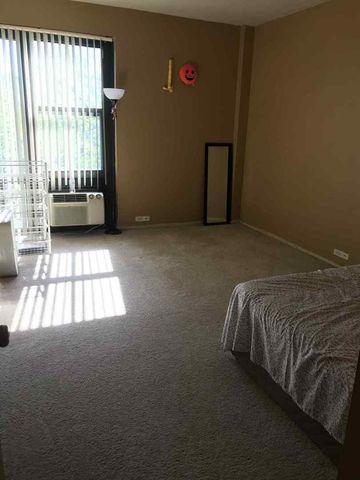 3041 S Michigan Avenue 509, Chicago, IL 60616