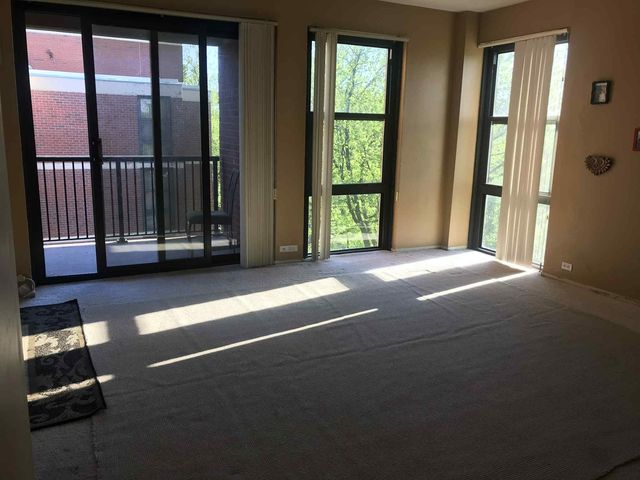 3041 S Michigan Avenue 509, Chicago, IL 60616