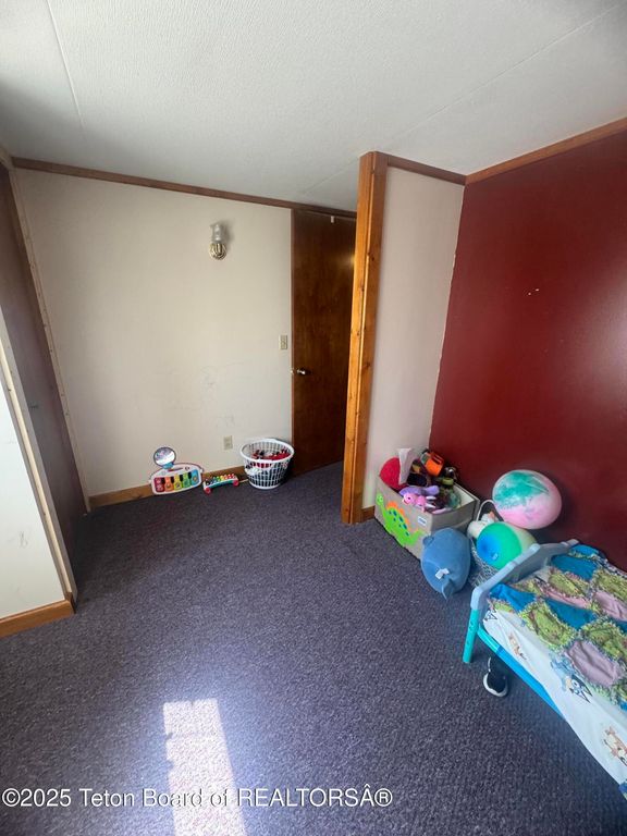 19 SANDY Lane, Pinedale, WY 82941 photo 20