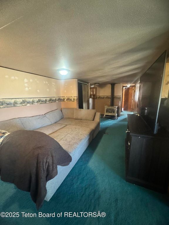 19 SANDY Lane, Pinedale, WY 82941 photo 9