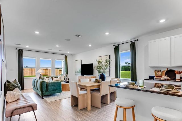 26638 Plain Glee Street, Hockley, TX 77447