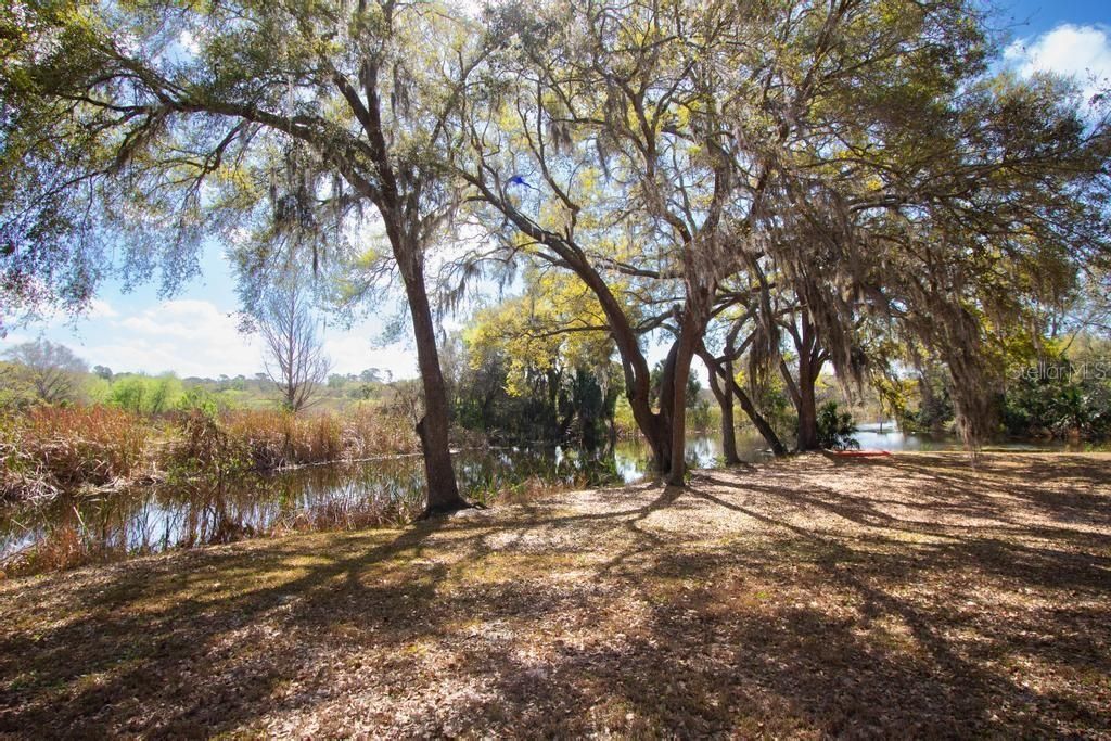 Image 39 of property listing at 15950 SPLENDID OAKS LANE, Tavares, FL 32778