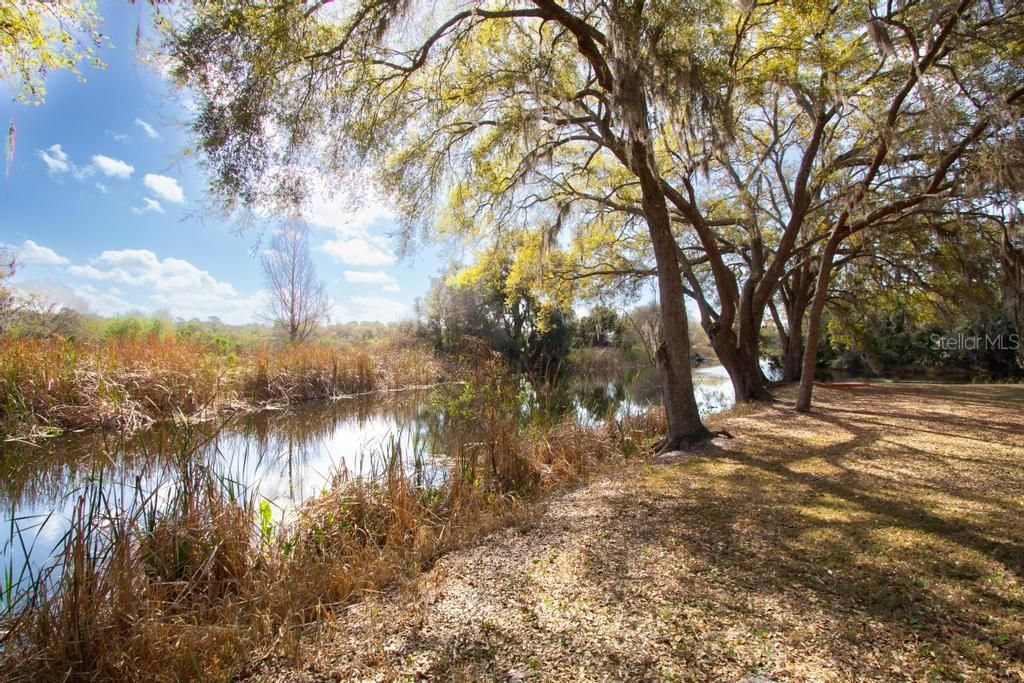 Image 40 of property listing at 15950 SPLENDID OAKS LANE, Tavares, FL 32778